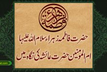 حضرت فاطمہ زہراء حضرت عائشہ کی نگاہ میں