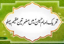 تحریک امام حسین ؑمیں مضمر تین عظیم پہلو