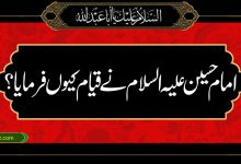 امام حسین علیہ السلام نے قیام کیوں فرمایا؟