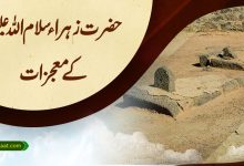 حضرت زہراء سلام اللہ علیہا کے معجزات