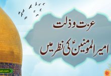 عزت و ذلت امیر المومنینؑ کی نظر میں