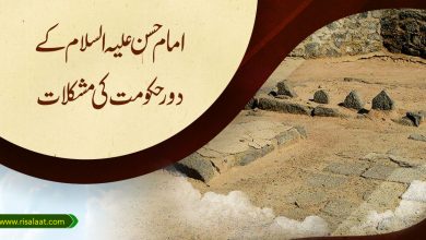 امام حسن علیہ السلام کے دور حکومت کی مشکلات