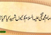 امام محمد تقی علیہ السلام کو کیوں شہید کیا گیا؟