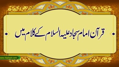 قرآن امام سجاد علیہ السلام کے کلام میں