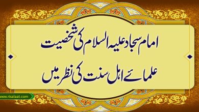 امام سجادعلیہ السلام کی شخصیت علمائے اہل سنت کی نظر میں