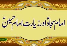 امام سجاد اور زیارت امام حسین
