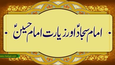 امام سجاد اور زیارت امام حسین