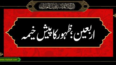 اربعین ظہور کا پیش خیمہ