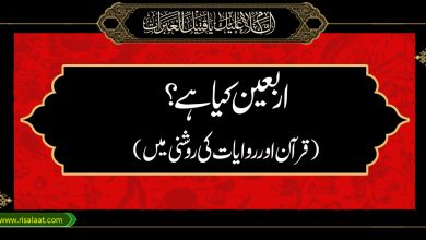 اربعین کیا ہے ؟ ( قرآن اور روایات کی روشنی میں )