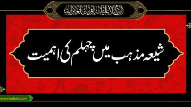 شیعہ مذہب میں چہلم کی اہمیت
