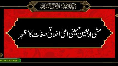 مشی اربعین حسینی اعلیٰ اخلاقی صفات کا مظہر