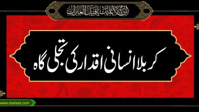کربلا انسانی اقدار کی تجلی گاہ