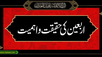اربعین کی حقیقت و اہمیت