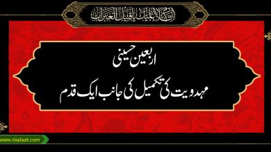 اربعین حسینی، مہدویت کی تکمیل کی جانب ایک قدم