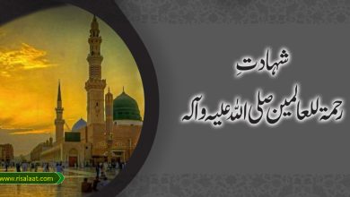 شہادتِ رحمۃ للعالمین صلی اللہ علیہ وآلہ