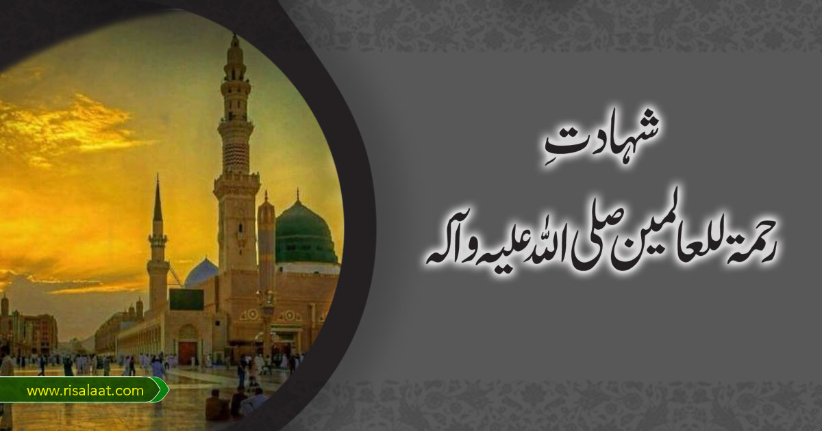 شہادتِ رحمۃ للعالمین صلی اللہ علیہ وآلہ
