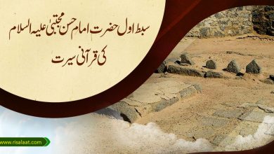 سبط اول حضرت امام حسن مجتبیٰ علیہ السلام کی قرآنی سیرت