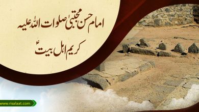 امام حسن مجتبیٰ صلوات اللہ علیہ: کریم اہل بیتؑ
