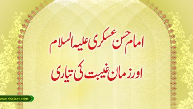 امام حسن عسکری علیہ السلام اور زمان غیبت کی تیاری