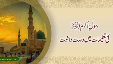 رسولِ اکرم (ص) کی تعلیمات میں وحدت و اخوت