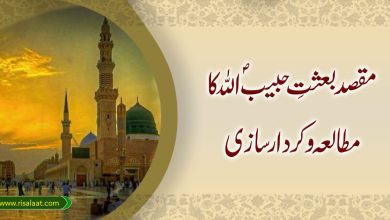 مقصد بعثتِ حبیبؐ اللہ کا مطالعہ و کردار سازی