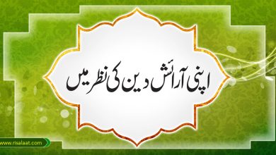 اپنی آرائش دین کی نظر میں