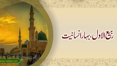 ربیع الاول، بہار انسانیت