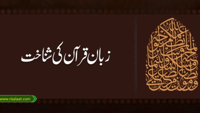 زبان قرآن کی شناخت