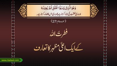 فطرتُ اللہ کے ایک اعلیٰ مظہر کا تعارف
