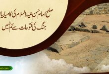 صلح امام حسن علیہ السلام کی کامیابیاں، جنگ کی فتوحات سے کم نہیں