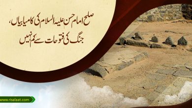 صلح امام حسن علیہ السلام کی کامیابیاں، جنگ کی فتوحات سے کم نہیں