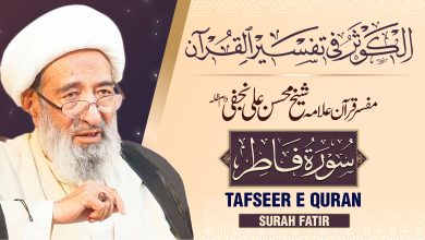 تفسیر سورہ فاطر | مفسر قرآن شیخ محسن علی نجفی دام عزہ