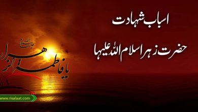 اسباب شہادت حضرت زہرا سلام اللہ علیہا