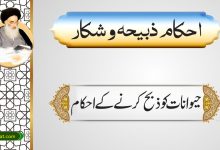 حیوانات کو ذبح کرنے کے احکام