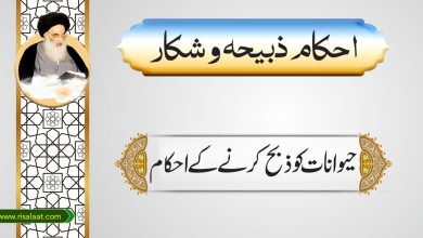 حیوانات کو ذبح کرنے کے احکام