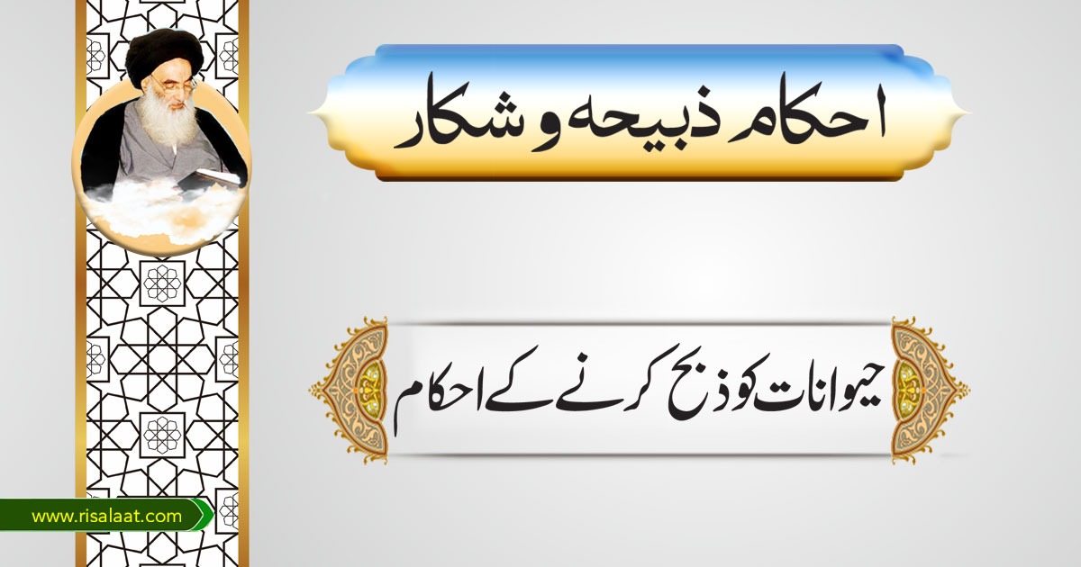 حیوانات کو ذبح کرنے کے احکام