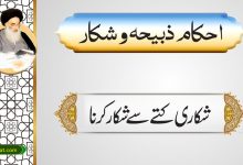 شکاری کتے سے شکار کرنا