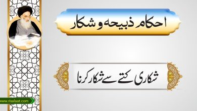 شکاری کتے سے شکار کرنا