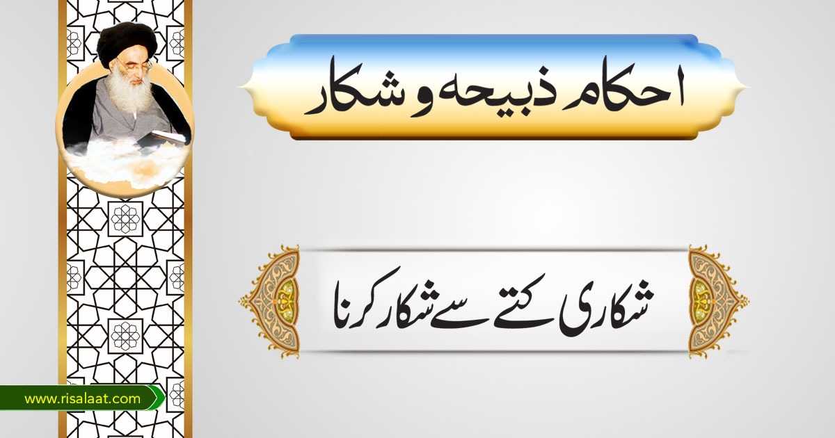 شکاری کتے سے شکار کرنا