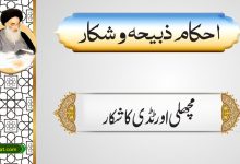 مچھلی اورٹڈی کاشکار