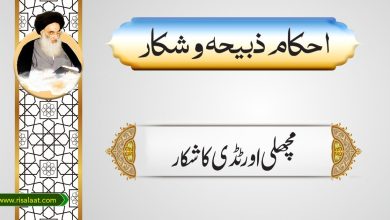 مچھلی اورٹڈی کاشکار