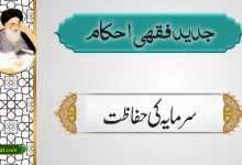 سرمایہ کی حفاظت