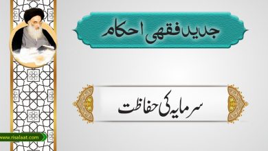 سرمایہ کی حفاظت