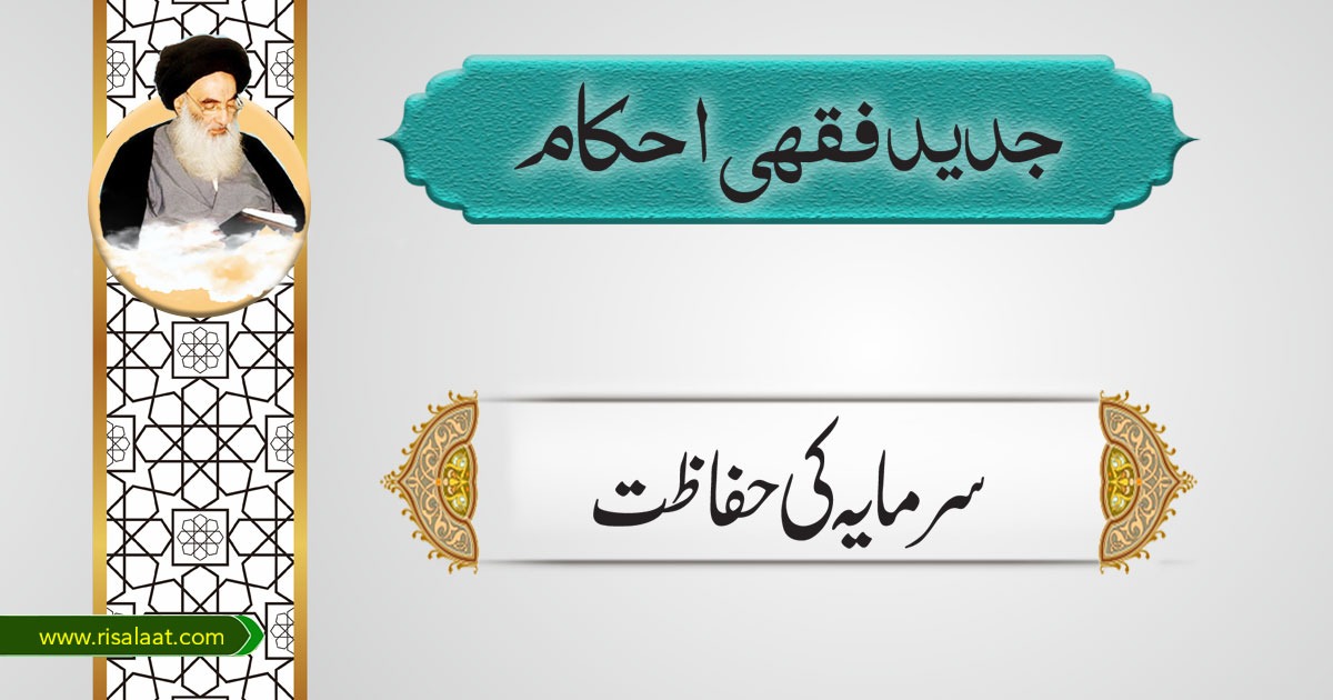 سرمایہ کی حفاظت