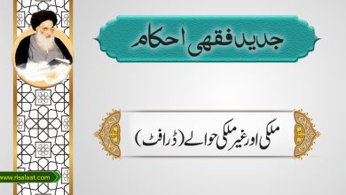  ملکی اور غیر ملکی حوالے(ڈرافٹ)