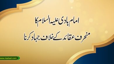 امام ہادی علیہ السلام کا منحرف عقائد کے خلاف علمی جہاد کرنا