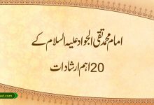 امام محمد تقی الجواد علیہ السلام کے 20 اہم ارشادات
